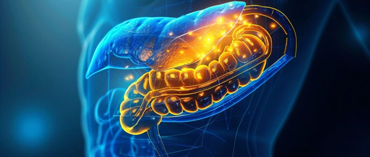 5 coolest waterproof mobile devices