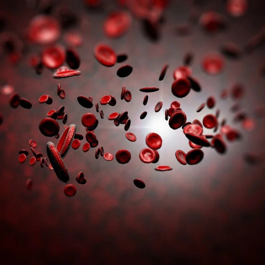 5 coolest waterproof mobile devices