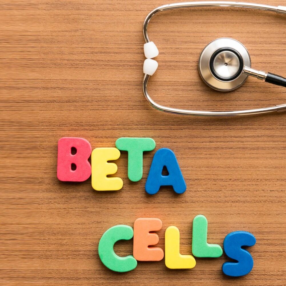 改善T2DM患者β细胞功能，GKA新证据来了