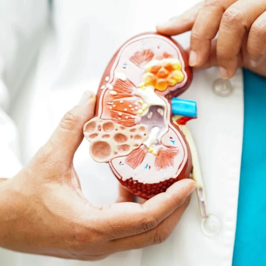 糖尿病患者肾脏健康的最佳组合：动起来+抗炎饮食