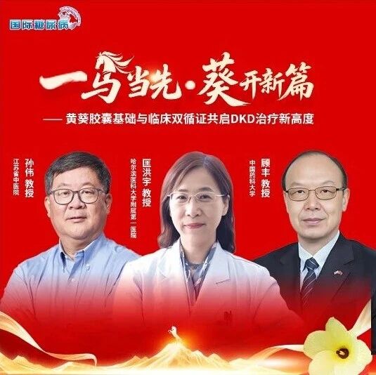 一马当先·“葵”开新篇——黄葵胶囊基础与临床双循证共启DKD治疗新高度