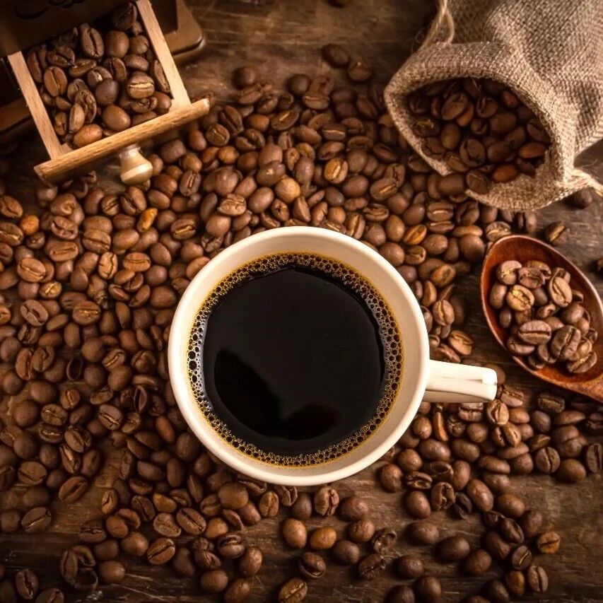 5 coolest waterproof mobile devices