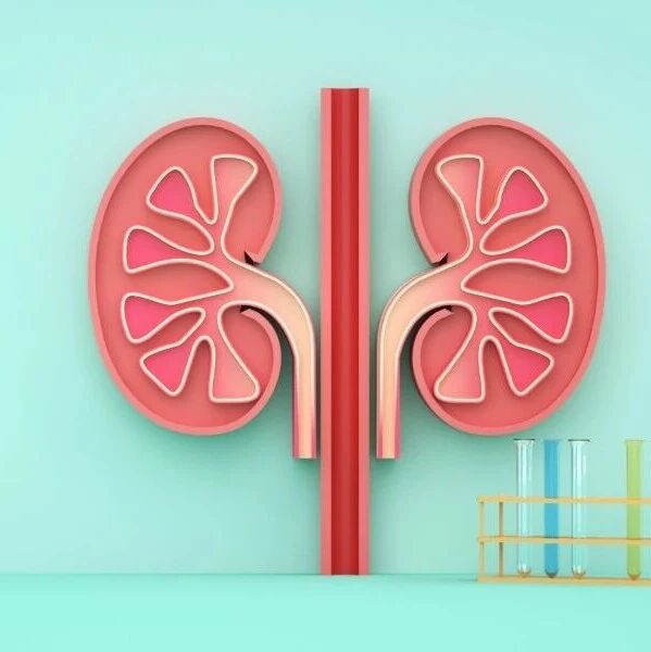 从延缓进展到实现缓解：慢性肾脏病治疗新范式