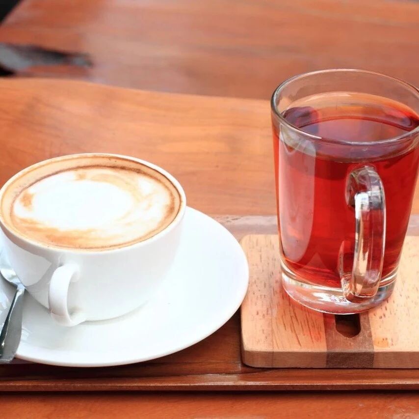 5 coolest waterproof mobile devices