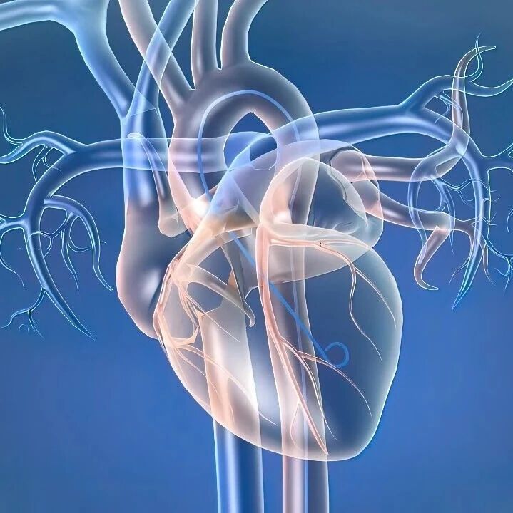 年轻发病的2型糖尿病是否增加心血管终身风险？大庆研究再出新证据