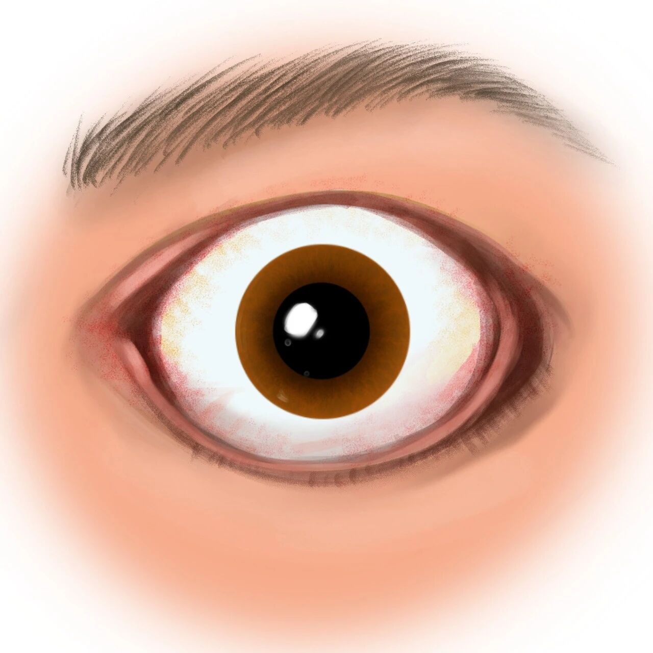 5 coolest waterproof mobile devices