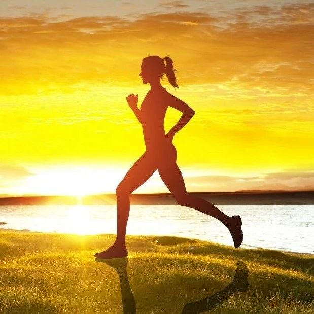 5 coolest waterproof mobile devices